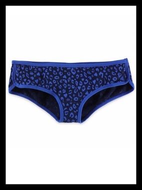 💕ⓅⒾⓃⓀ ⓋⓈ Vintage Extra LR Hipster Panties NWT💕